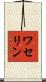 ワセリン Scroll