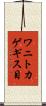 ワニトカゲギス目 Scroll