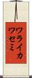 ワライカワセミ Scroll