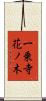 一乗寺花ノ木 Scroll