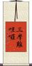 三摩難呾囉 Scroll