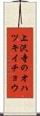 上沢寺のオハツキイチョウ Scroll