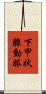 下甲状腺動脈 Scroll