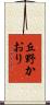 丘野かおり Scroll