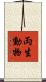 両生動物 Scroll