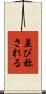 並び称される Scroll