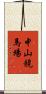 中山競馬場 Scroll