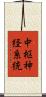 中枢神経系統 Scroll