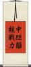 中距離核戦力 Scroll