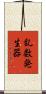 乱数発生器 Scroll