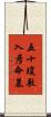 五十瓊敷入彦命墓 Scroll