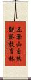 五葉山自然観察教育林 Scroll