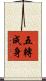 五轉成身 Scroll