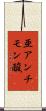 亜アンチモン酸 Scroll