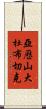 亞歷山大·杜布切克 Scroll