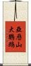亞歷山大鸚鵡 Scroll