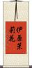 伊原茉莉花 Scroll