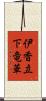 伊香立下竜華 Scroll