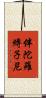 伴陀羅縛子尼 Scroll