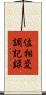 位相変調記録 Scroll