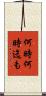 何時何時迄も Scroll