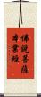佛說菩薩本業經 Scroll