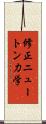 修正ニュートン力学 Scroll