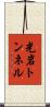 光岩トンネル Scroll
