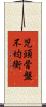 児頭骨盤不均衡 Scroll