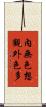 內無色想觀外色多 Scroll