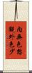 內無色想觀外色少 Scroll