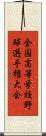 全国高等学校野球選手権大会 Scroll