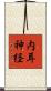 内耳神経 Scroll