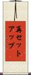 再セットアップ Scroll