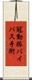 冠動脈バイパス手術 Scroll