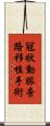 冠狀動脈旁路移植手術 Scroll
