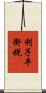 利子平衡税 Scroll