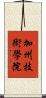 加州技術學院 Scroll