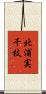 北浦実千枝 Scroll
