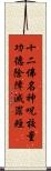 十二佛名神呪校量功德除障滅罪經 Scroll