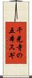 千光寺の五本スギ Scroll