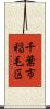 千葉市稲毛区 Scroll