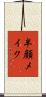 半顔メイク Scroll