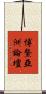 博鰲亞洲論壇 Scroll