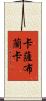 卡薩布蘭卡 Scroll