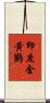 印度金黃鸝 Scroll