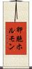 卵胞ホルモン Scroll