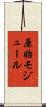 原始モジュール Scroll