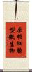 原核細胞型微生物 Scroll