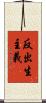 反出生主義 Scroll